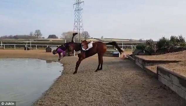 心機馬突然躍起把騎手甩進水坑　「心煩不想訓練了啦！」