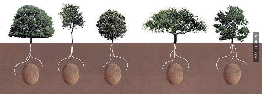 什麼土葬火葬水葬全部都OUT了，義大利最新的安葬方法是用一個蛋型的容器把人變成一棵樹。