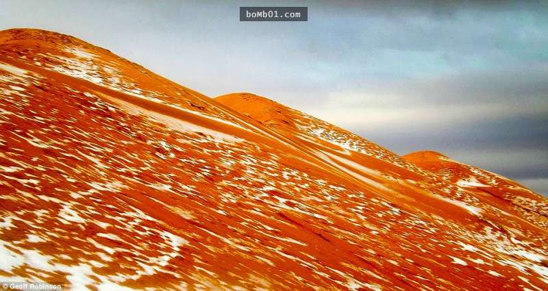 全世界最熱的撒哈拉沙漠「37年來第一次降雪」，駱駝看到眼前的景象都驚呆了！