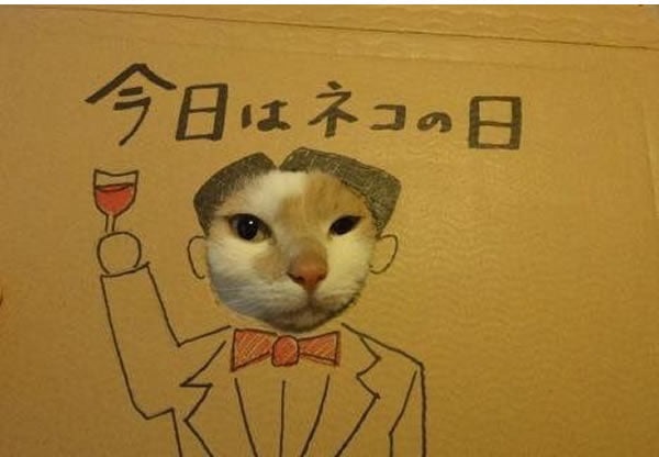 你知道日本有「國際貓節日」嗎？　當天「貓咪最大」慶祝方式超好玩