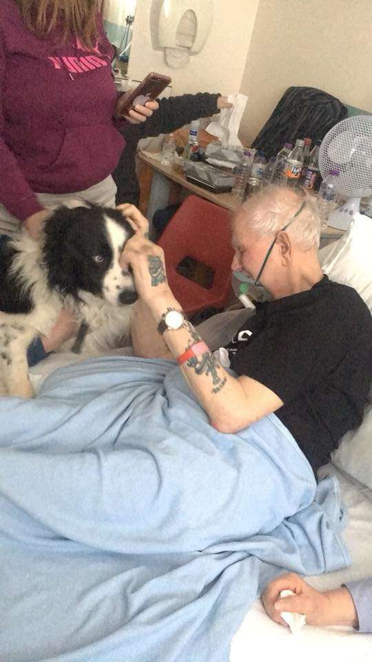 拜託讓我見牠…　醫院破例讓老爺爺跟愛犬見面　最後他帶著笑容離開了
