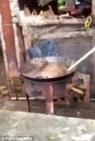 中國村民把「一隻活生生的狗狗丟進大鍋裡煮」，看熱鬧的人還可以哈哈大笑！（內有影片）