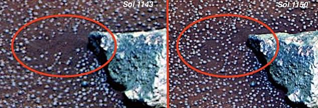 火星上長蘑菇？　科學家：在紅色星球上發現真菌的證據