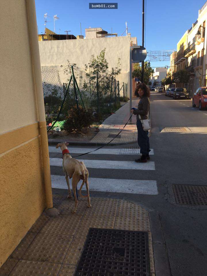 獸醫發現斷腿的狗狗一直要引領她去某個地方，結果好奇跟著走3公里…眼前的畫面讓大家都感動哭！