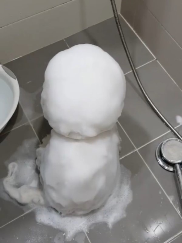 雪寶是你嗎？浴室出現「白圓小雪人」沖水也不融化　轉過來網友直呼：超療癒！