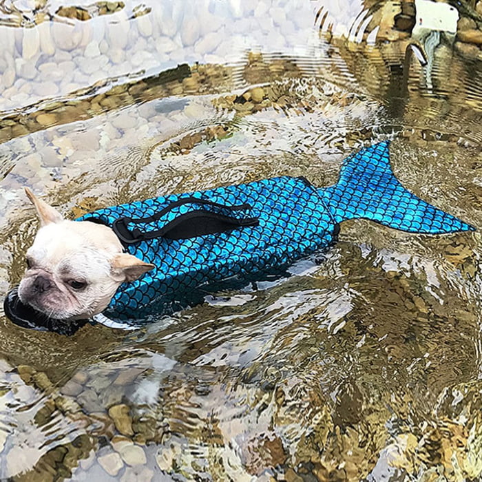 很欠買！超萌「美人魚救生衣」專給狗狗　下水變「一隻魚在游」太古錐❤