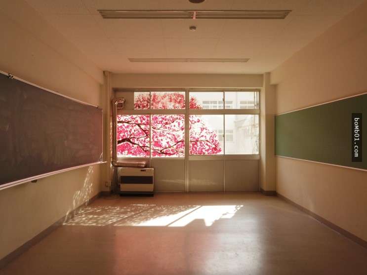 教室裡超美的櫻花圖…拉近一看是血手印　創作者分享的故事讓人眼眶泛淚