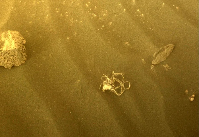 毅力號在火星拍到「神秘義大利麵條」！　NASA給回應：不是外星生命
