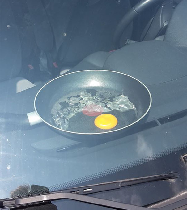 他們在攝氏71度高溫的車內「做煎蛋實驗」，看完大家都秒懂為什麼不可以把寵物留在車子裡面！