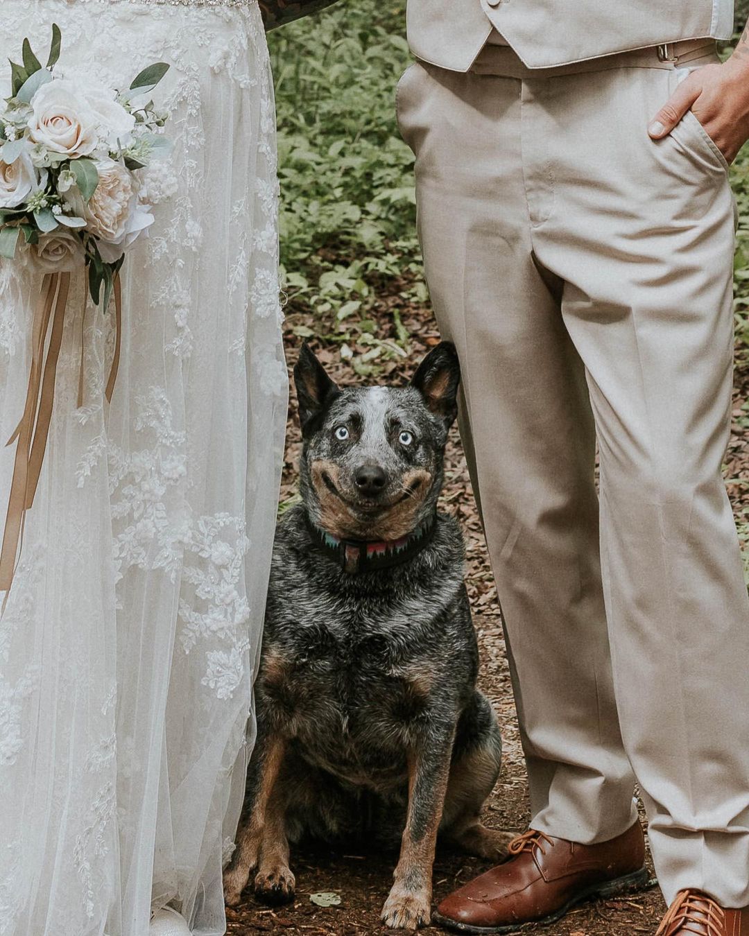 帶愛犬一起拍結婚照！牠站中間「尷尬又不失禮貌微笑」　網笑噴：是不是不熟？