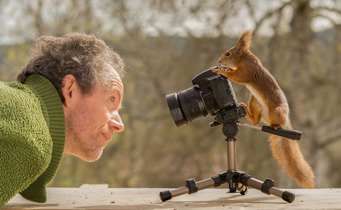 攝影師跟拍「隱藏版精靈」松鼠6年　精選25張「奇蹟照片」：大家都該看看♡