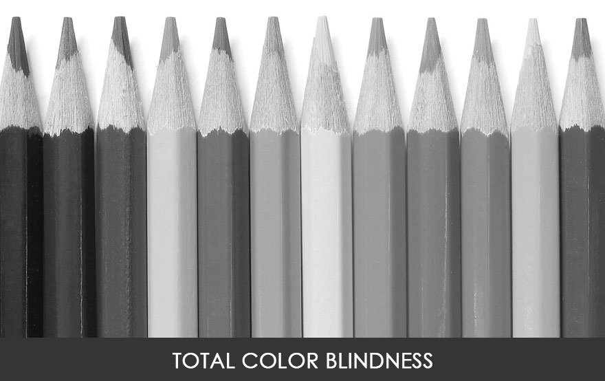 這就是大家都很好奇的「色盲眼中的視界」，少了某種顏色的世界長這樣啊！
