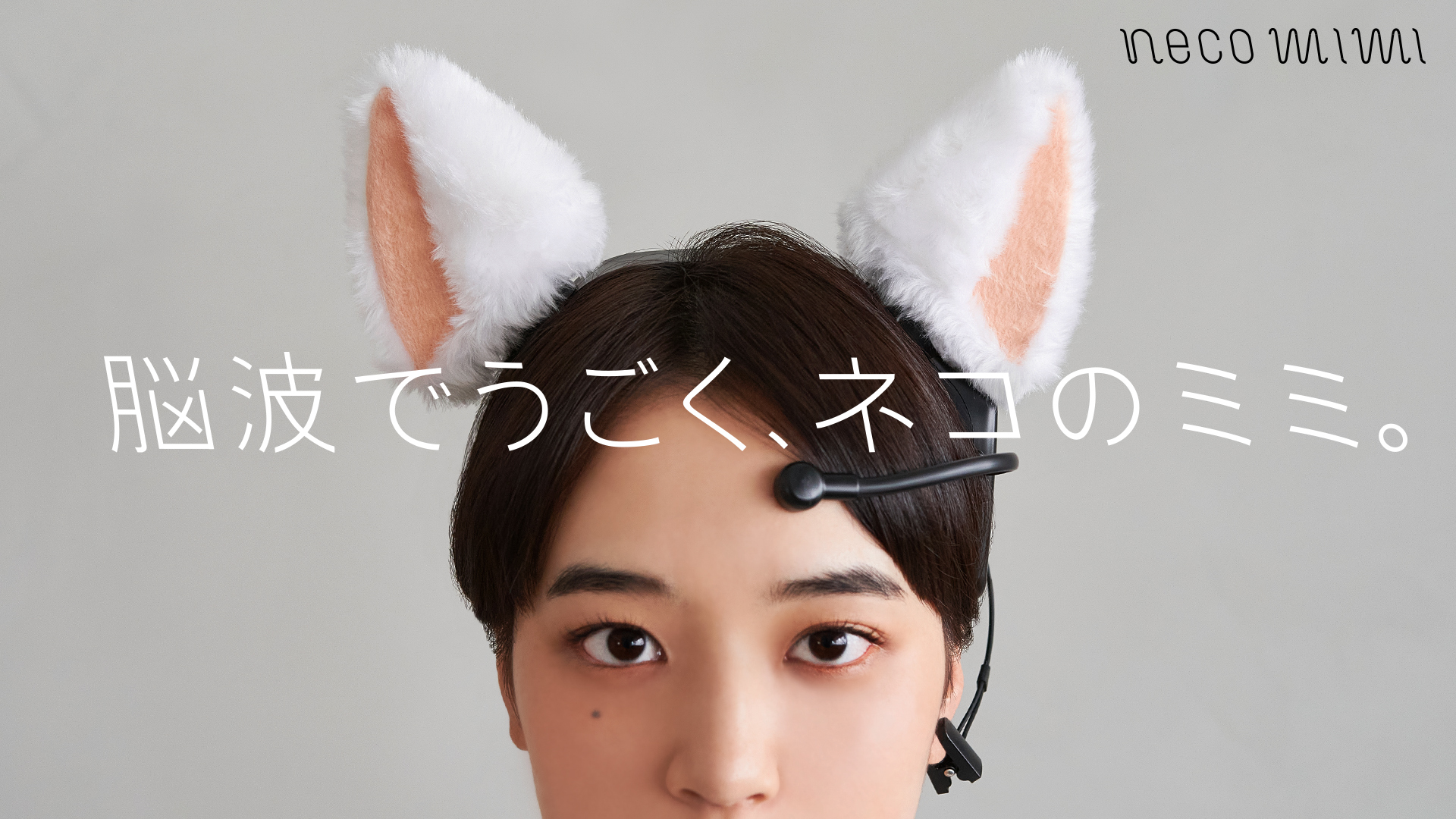 老闆不能看！日本科技化「貓耳髮箍」判定腦波　偷懶、放鬆耳朵上全看得到！
