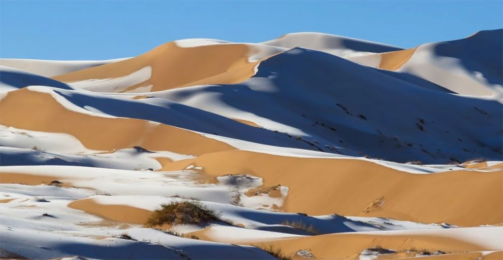撒哈拉沙漠下雪了！罕見降雪形成神秘線條　駱駝滿臉困惑：這是什麼？