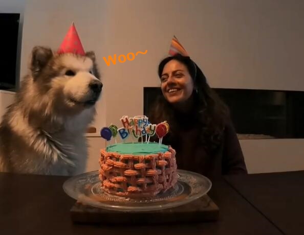 幫媽媽慶生！　雪橇犬完美接唱生日歌　高難度轉音「Woo～」甜翻網友！
