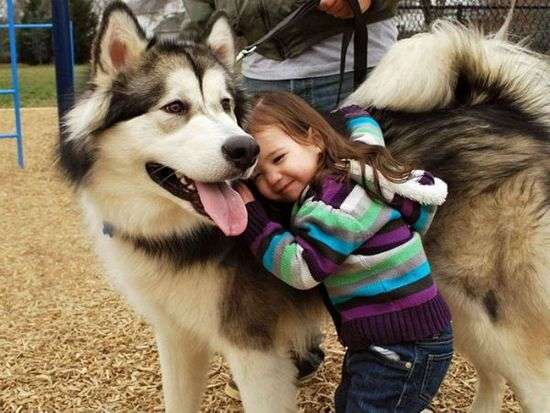 40張證明「小孩和狗是最棒夥伴」的甜蜜友情照　要送走狗的都被啪啪打臉了