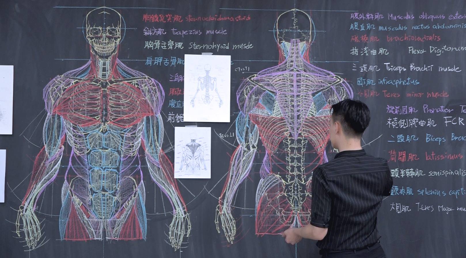 「人體透視圖」畫得比3D骨架還狂！　台灣講師爆紅國外：長超帥又有才