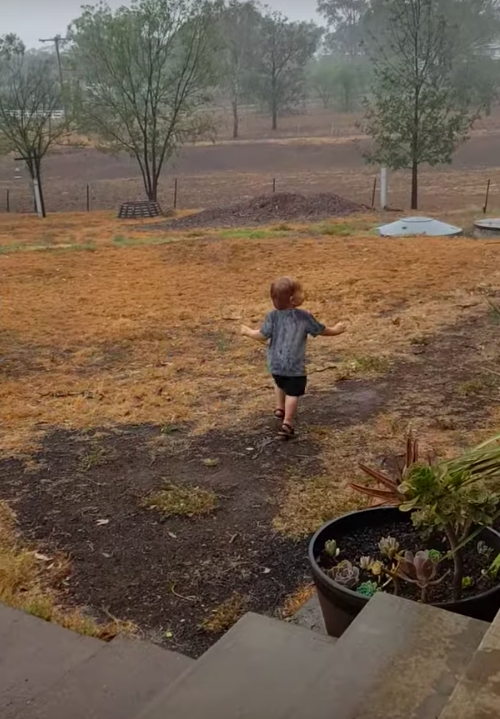 喜降甘霖！澳洲1歲半男孩「人生初見下雨」　開心到雨中漫舞