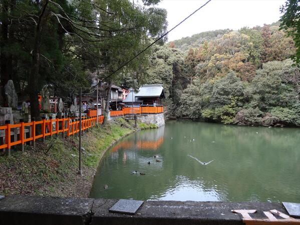 決定去日本神社之前要先聽當地的靈異故事　不然就會迷路、被神明殺掉…