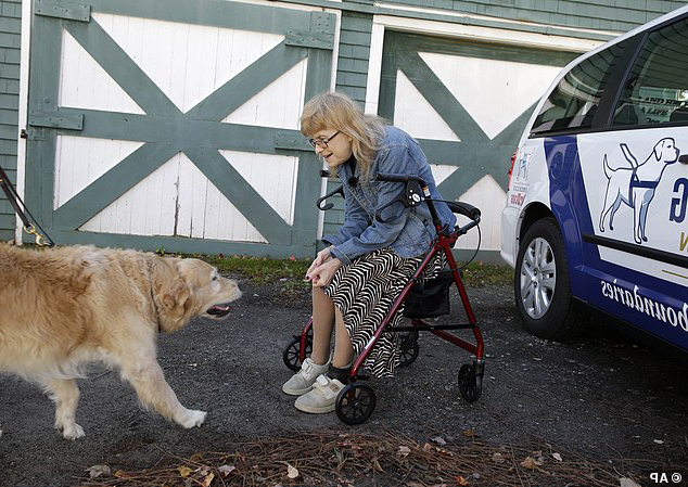 捨命相救！8歲導盲犬為主人「肉身擋校車」　自己受傷仍笑：主人沒事就好～