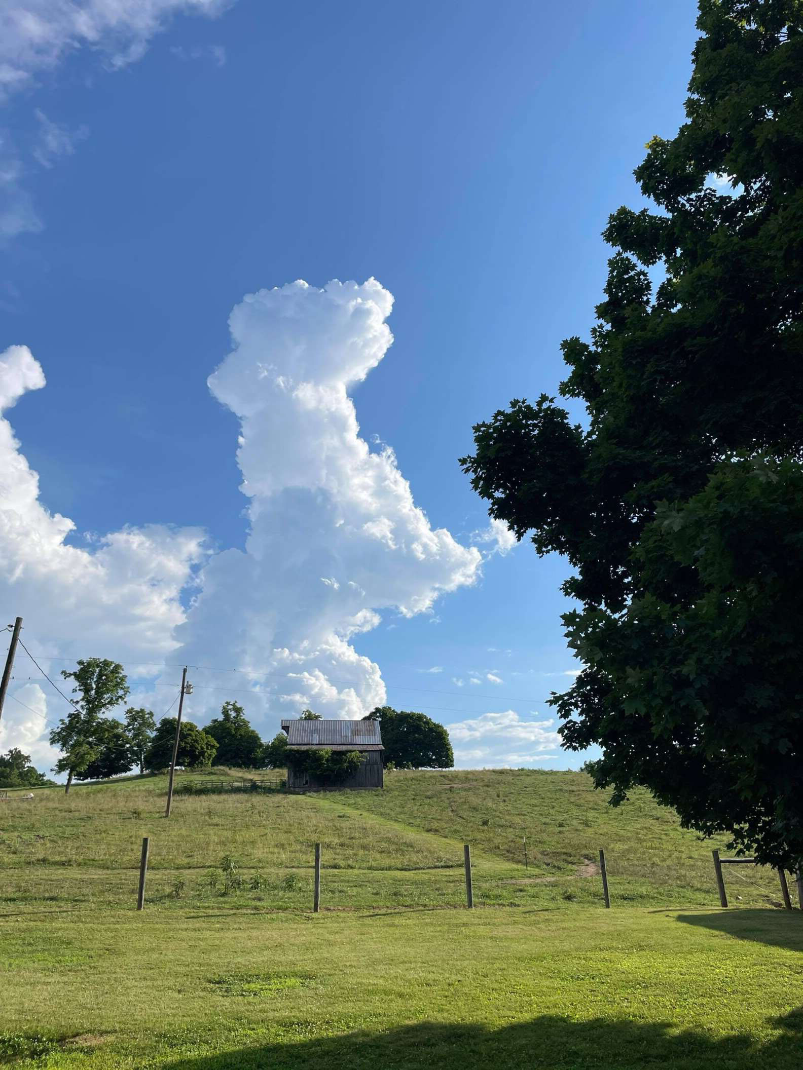 雲養狗！仰望天空恰好目睹「狗狗形狀雲朵」　捕捉瞬間「跳躍畫面」好快樂