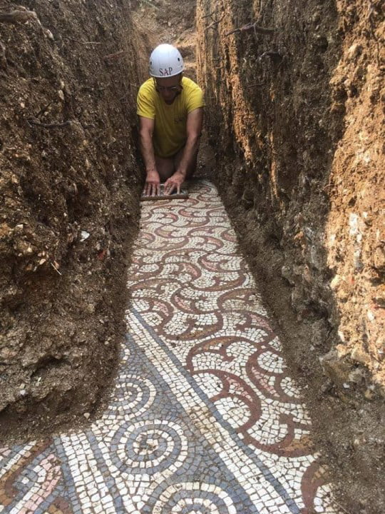不可思議！葡萄園底部暗藏「整片完美地磚」　考古學家驚喜：是千年的遺產