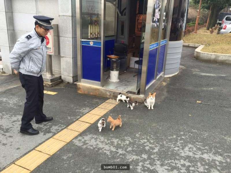 警察先生第一天遇到這隻貓時沒料到會發生這種事，現在他們和路人每天都被療癒不行！