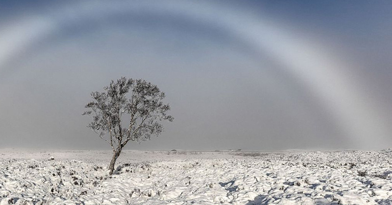 顏色被吃掉？攝影師拍「雪地純白彩虹」44年未見　NASA認證：是罕見奇景