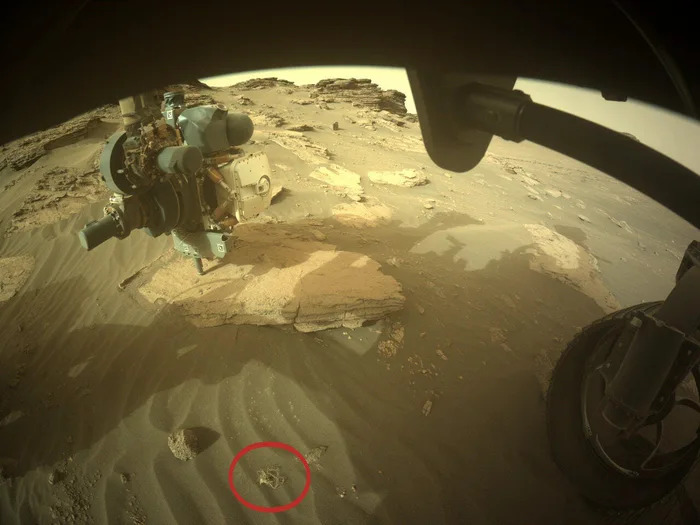 毅力號在火星拍到「神秘義大利麵條」！　NASA給回應：不是外星生命