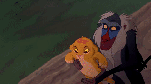 原來獅子王是真的！　狒狒霸氣高舉寶寶　網驚：找到辛巴啦