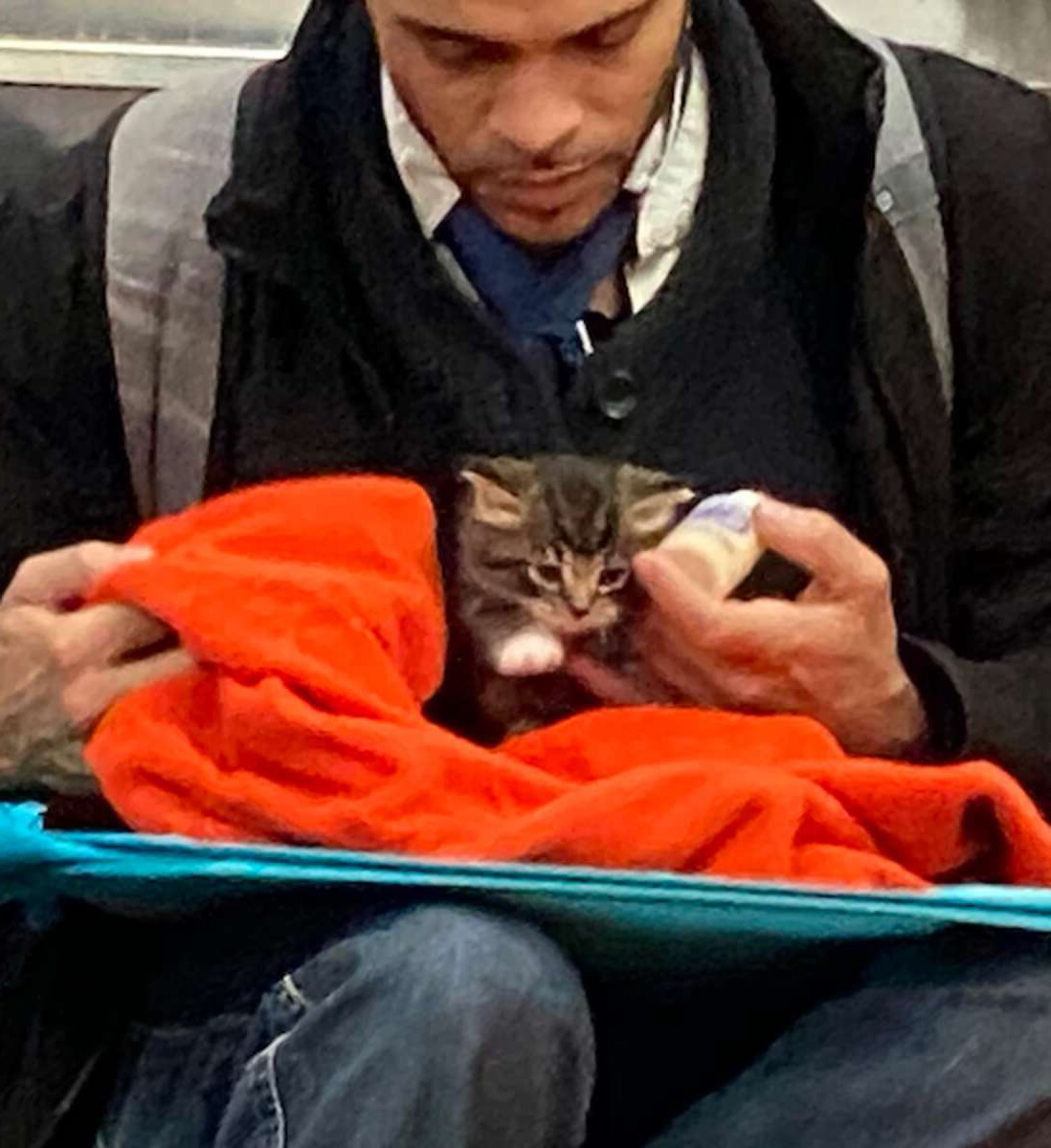 地鐵上見壯漢「細心餵奶貓」　近看發現小貓可愛探頭：謝謝泥～