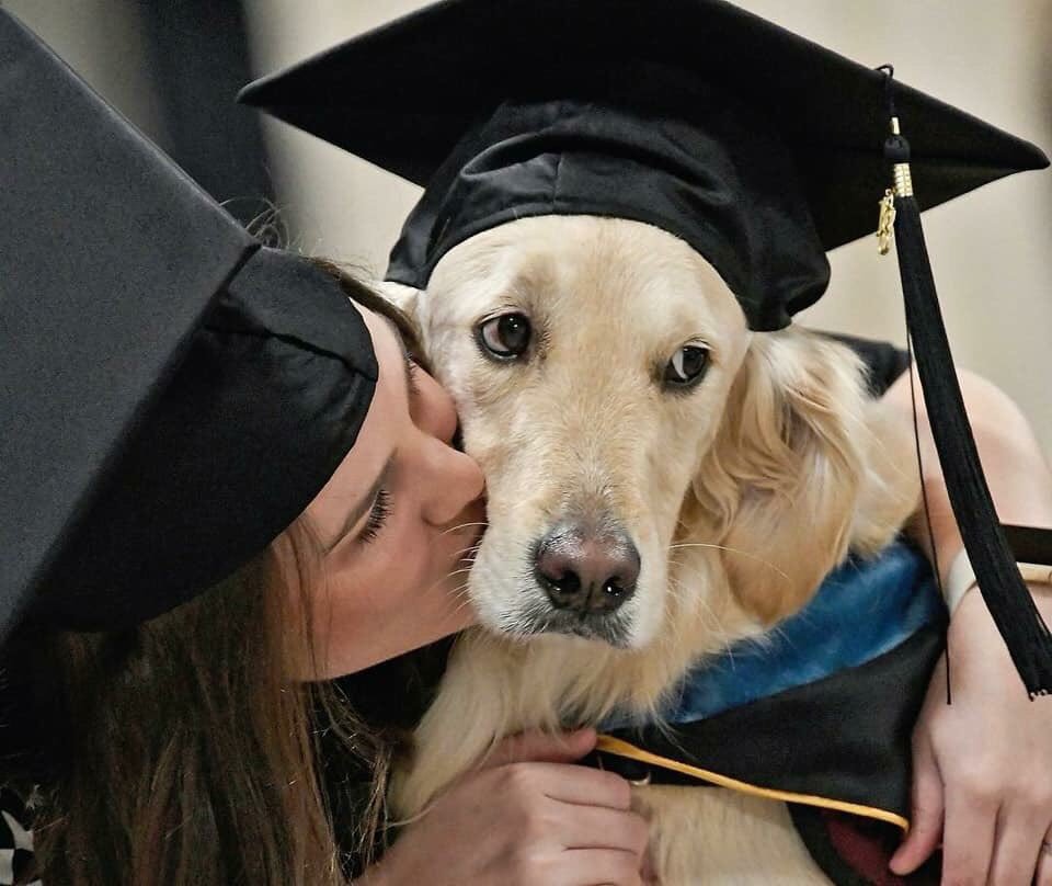 服務犬陪身障主人上學「4年來不吵不鬧」　畢業典禮獲「特別證書」好驕傲❤
