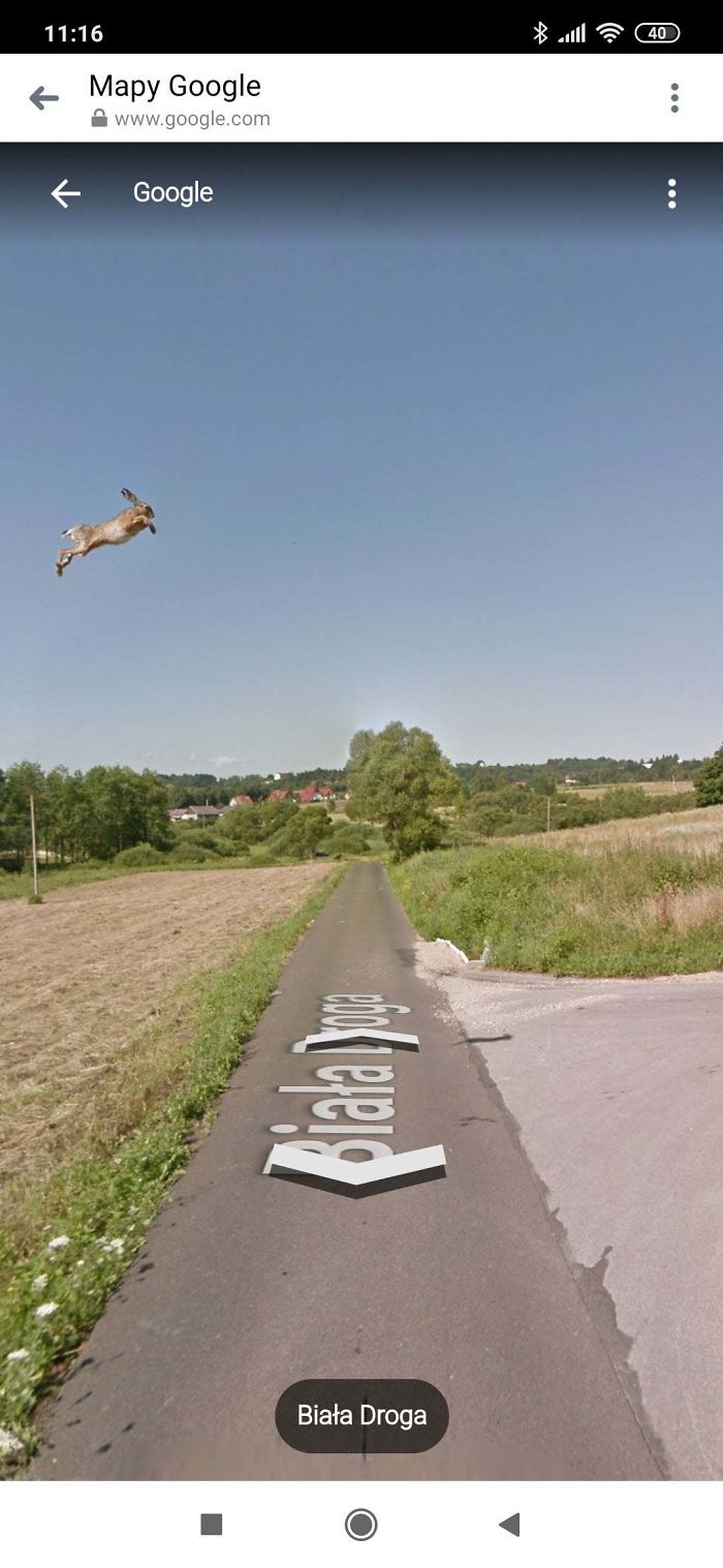 拍到飛天兔！　Google街景車不小心紀錄下的各種「亂入奇觀」