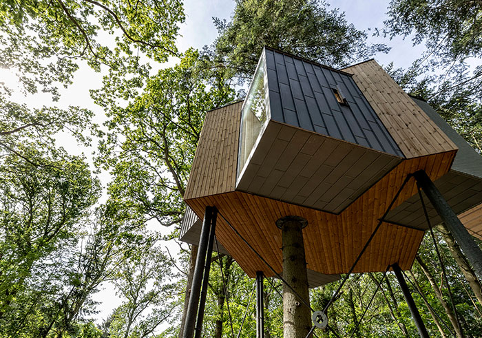 8公尺高「大人版樹屋」設計無可挑剔　360度採光環境完勝各大飯店