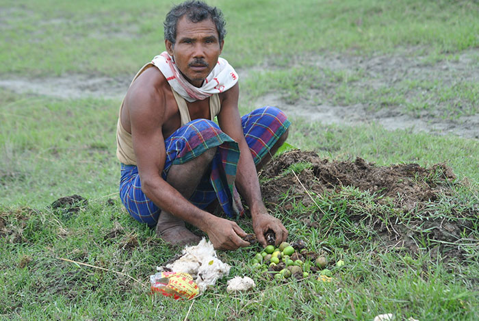 住的土地將消失！印度男每日手植「堅持40年」　一片黃土因為他「變550公頃綠林」