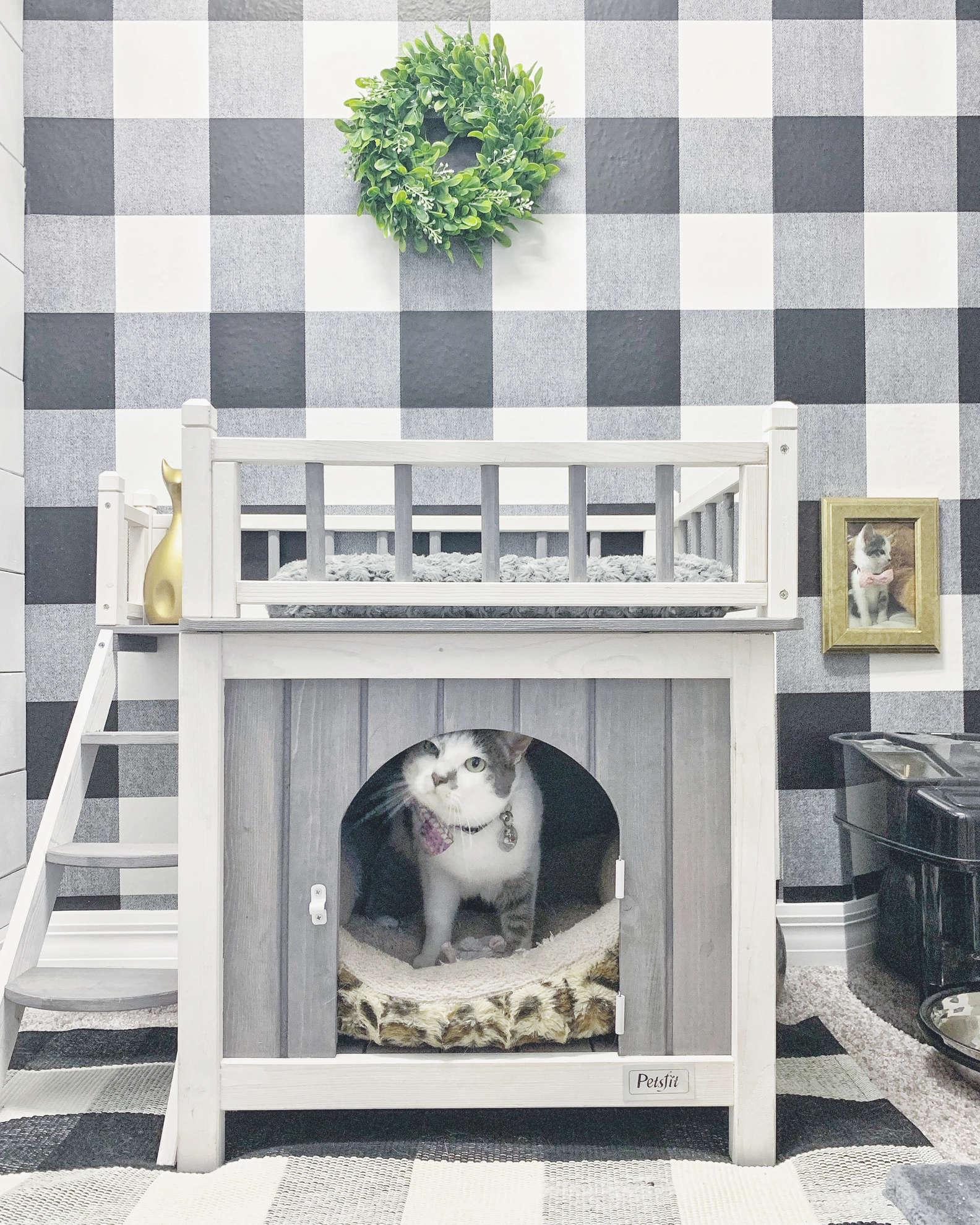 把拔馬麻寵上天！為愛貓建造「專屬小房間」　牠超愛「同款黑白設計」：這是朕的天下！