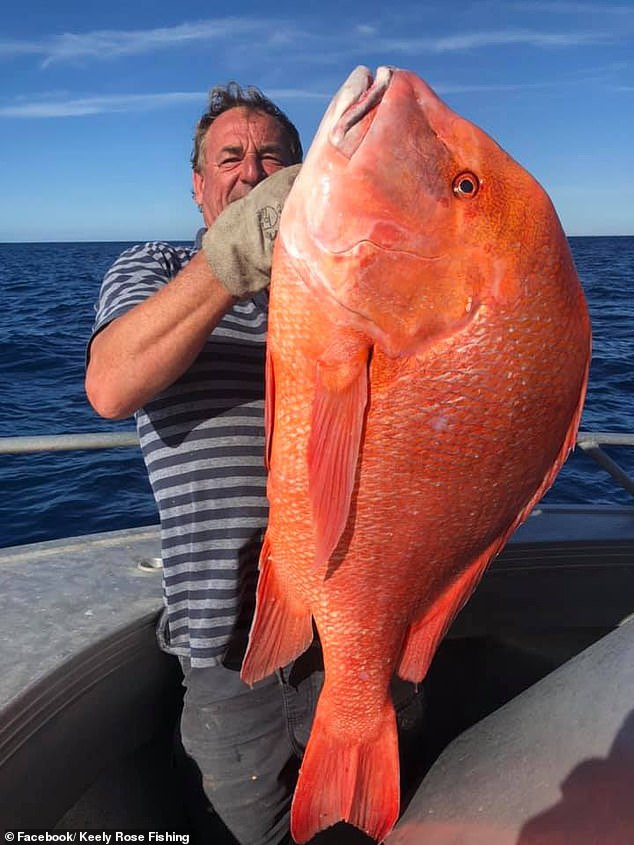 一生一遇！釣客釣上22kg赤紅「怪獸級魚類」　人生最狂紀錄：捨不得吃