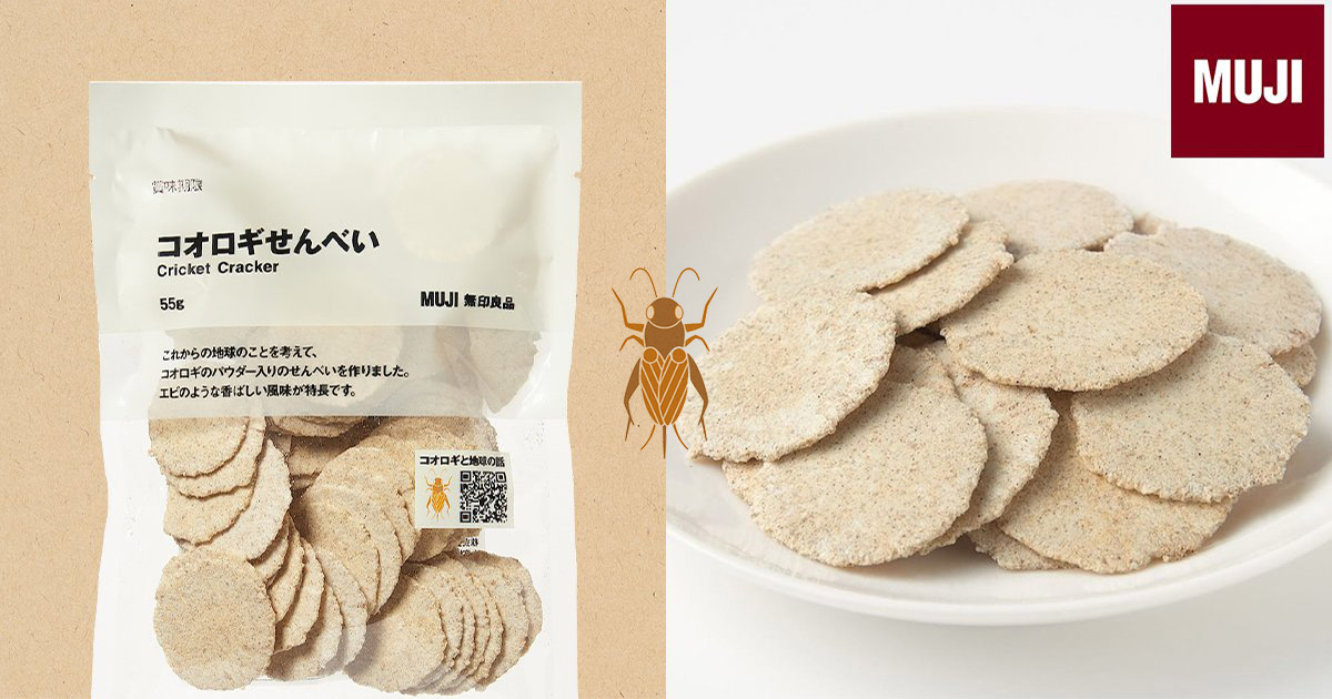 【日本】無印良品又來了！　蟲蟲零食新品「蟋蟀巧克力棒」　運動完來一條「補充豐富蛋白質」