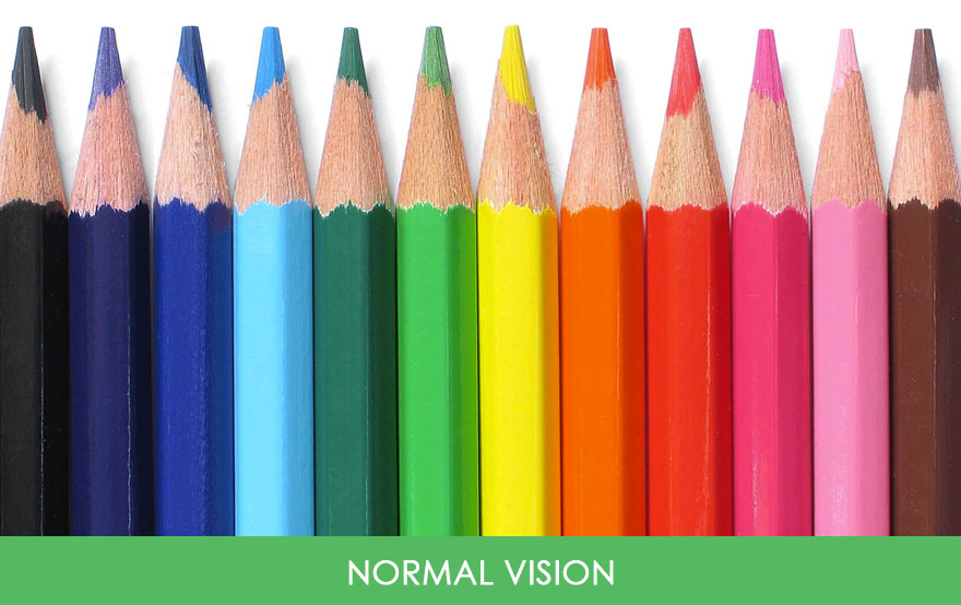 這就是大家都很好奇的「色盲眼中的視界」，少了某種顏色的世界長這樣啊！