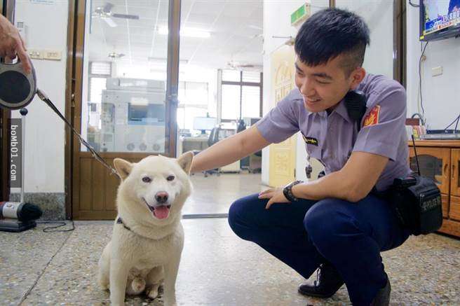 柴犬「3度離家出走」讓主人超困擾，但發現牠一直呆著的地方後連警察都哭笑不得啊！