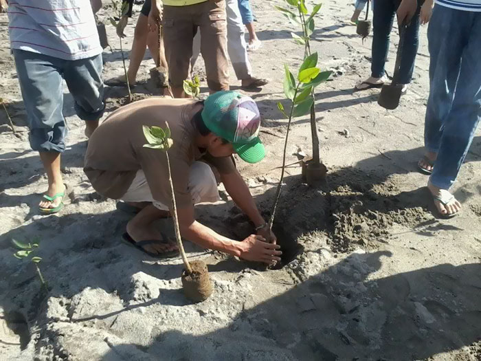 畢業前先種10棵樹！菲律賓修法敲定　一世代將多出「5億棵的森林」
