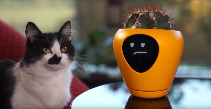 「智能花盆」變身電子寵物　15種不同的表情讓主人秒懂心情
