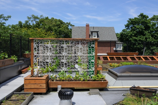 13個「讓你的家園秒變成園藝天堂」的原創DIY栽種點子！