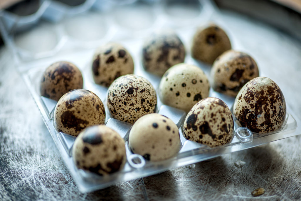 台灣人太愛鳥蛋一年狂嗑5億顆！　「真正來源曝光」多到外銷還有剩
