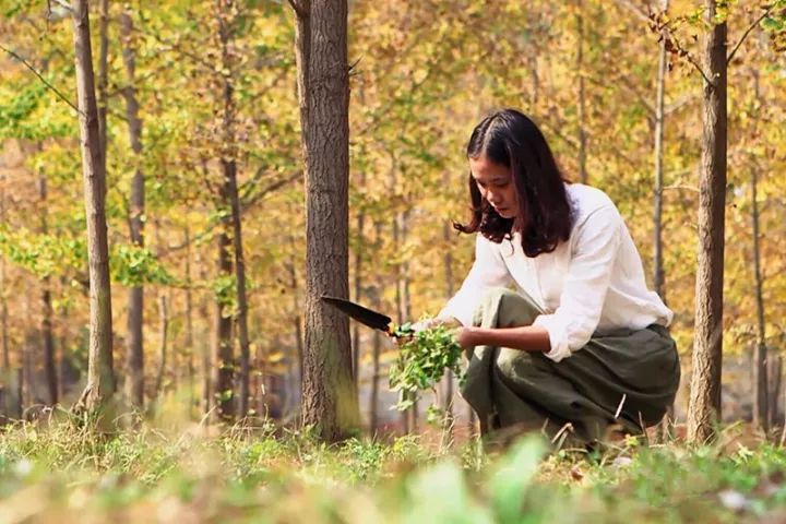 31歲女生棄北漂返鄉「撿破爛」　反而發掘才華成為「森林設計師」紅翻天