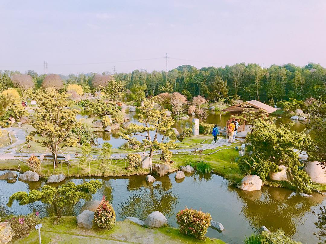 全台最大「景觀日式庭園」在這！　落羽松環繞「湖中愛心島」快揪心上人來拍～
