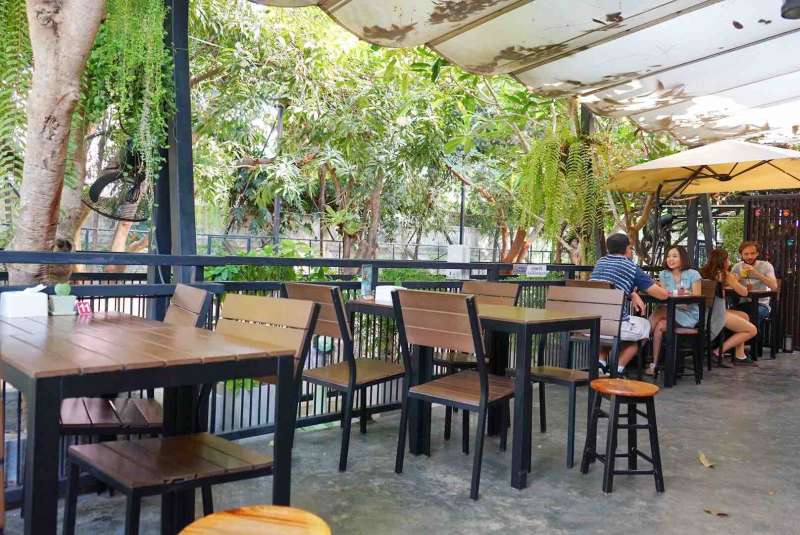 世界唯一「滿滿哈士奇」的泰國咖啡廳　月月瘋狂撲到你身上求互動