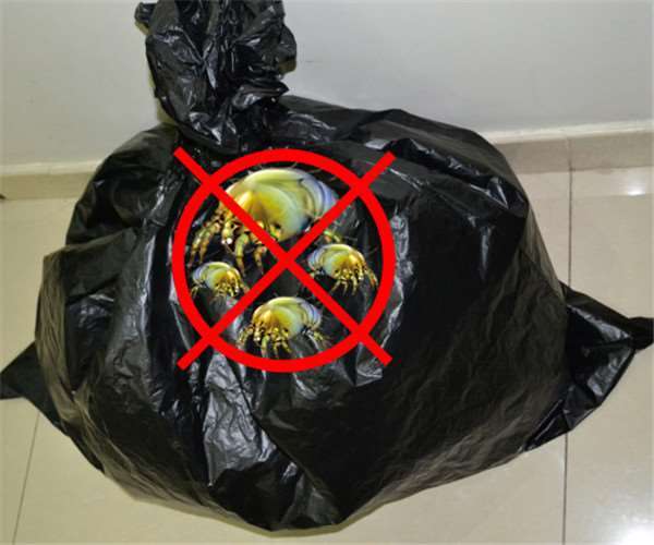 曝曬方法錯了！　專家建議「套上黑色塑膠袋」可殺擾人塵蟎