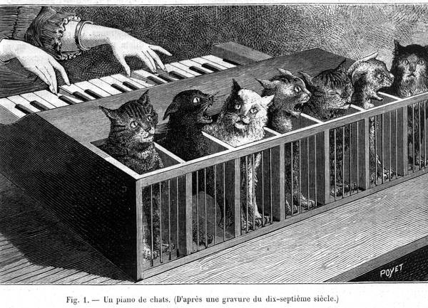 這就是音樂史上最惡名昭彰的樂器「貓琴」，演出時的變態狀況簡直衝擊人性！
