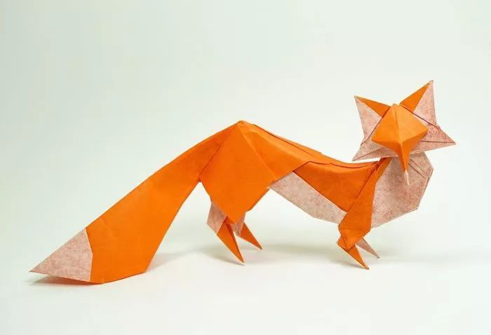 「把紙弄濕」反而更能摺出意境　摺紙大師還原小動物：每一隻都栩栩如生